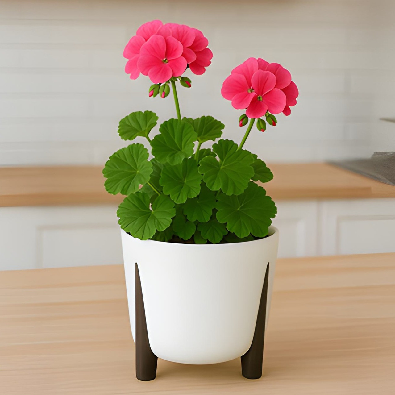 Квітковий горщик на ніжках 26 см Білий Фріда Ламела