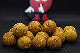 Бойли варені DUDI BAITS Tigernuts - Carp - Amur (Тигровий горіх) 1kg 20mm, фото 3