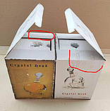 Уцінка! Графин в формі черепа 1 л, фото 2