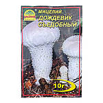 Мицелий Дождевик