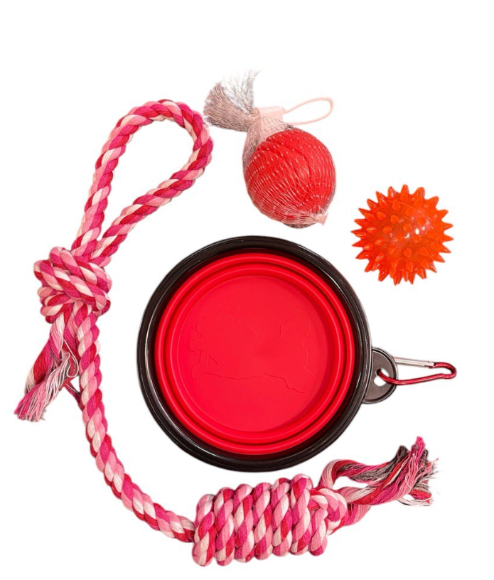 Набір іграшок для малих собак, 4 предмети, фото 1