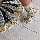 Шкарпетки жіночі ALBA різнокольорові з леопардовим принтом 37-40р | 12 пар, фото 2