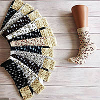 Шкарпетки жіночі ALBA різнокольорові з леопардовим принтом 37-40р | 12 пар