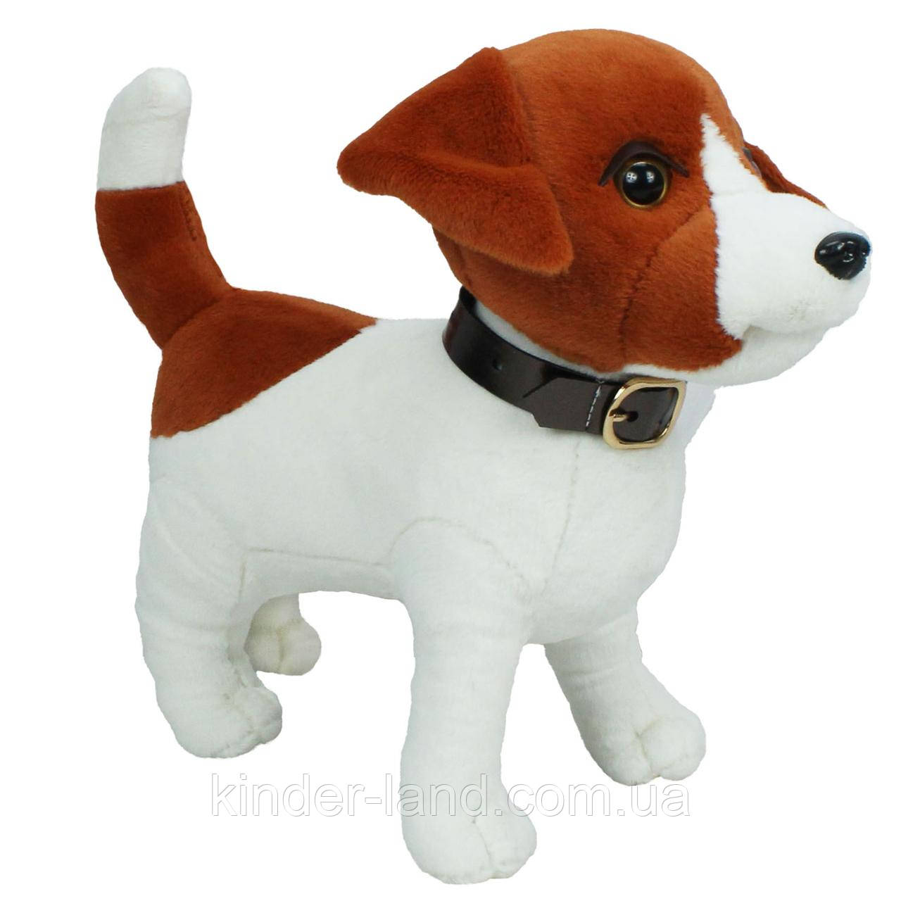 М’яка іграшка, собака Джек рассел, 29 см, фото 1