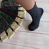 Шкарпетки жіночі ALBA різнокольорові з леопардовим принтом 37-40р | 12 пар, фото 2