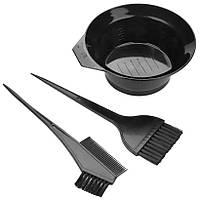 Набір для фарбування волосся 3 в 1 (миска, кисті, гребінець)