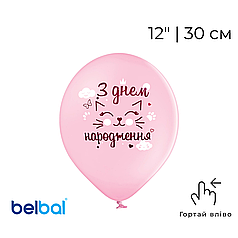 Принт 068 BELBAL-ББ 12" З днем народження - котик на пудровому