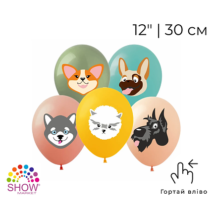 Принт 209 SHOW-ШОУ 12" Собачки - асорті, фото 1