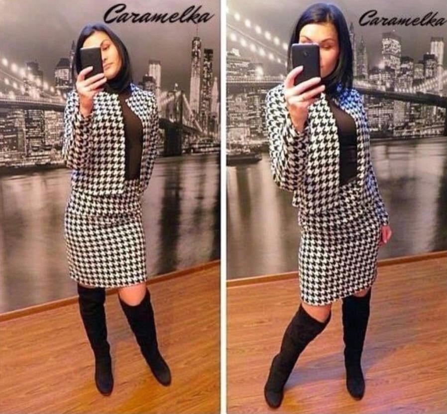 Костюм піджак спідниця 54 розмір гусяча лапка, фото 1