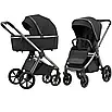 Універсальна коляска 2 в 1 Carrello Omega CRL-6530/1, фото 3