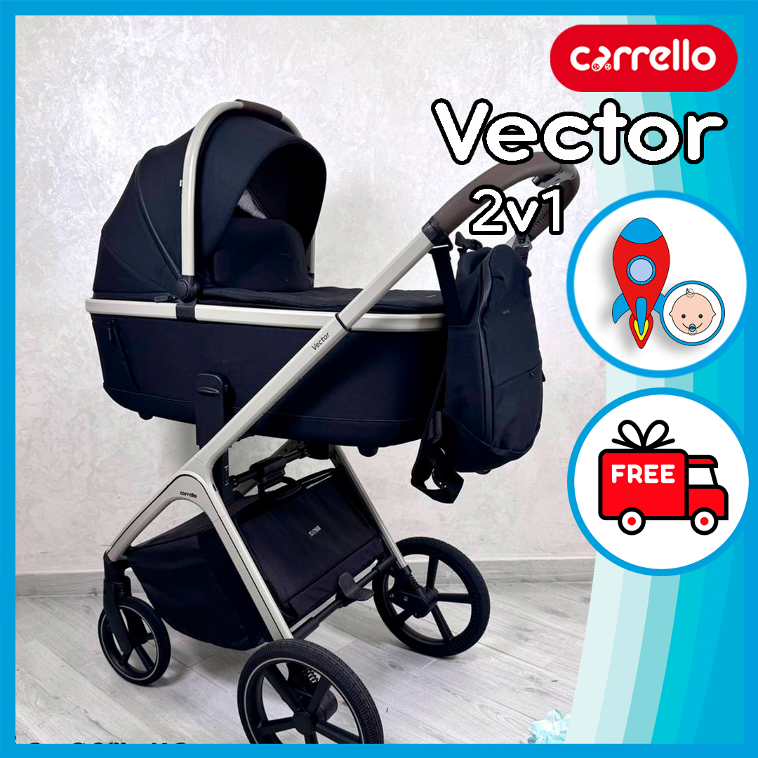 Універсальна коляска 2 в 1 Carrello Vector CRL-6550