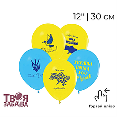 Принт 047 ТВОЯ ЗАБАВА-ТЗ 12" Все буде Україна