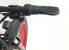 Електровелосипед Fatbike Danis Tesla Задній привід (1000W 48V 21Ah), фото 4