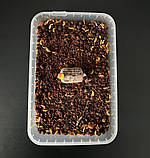 Стік - мікс CHILLY, фото 3