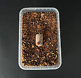 Стік - мікс MONSTER, фото 3