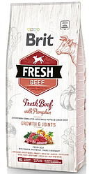 Корм сухий Brit Fresh Beef Puppy Large для цуценят та молодих собак великих порід з яловичиною 12 кг