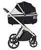 Універсальна коляска 2 в 1 Carrello Vector CRL-6550, фото 8