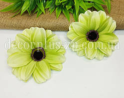 Квітка цинії 12см , салатовий