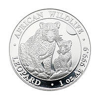 Срібна монета «Леопард» 2024 року Africal leopard 100 colliner 1 унція (31.1 г) 999 проби