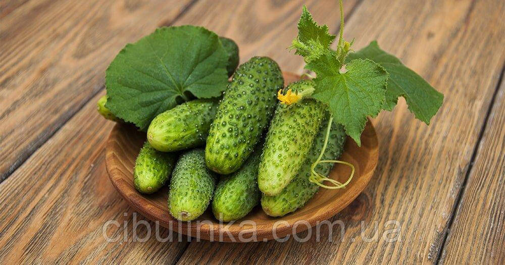 Огірок Солоні Уші F1 20 шт (zip-пакет), фото 1