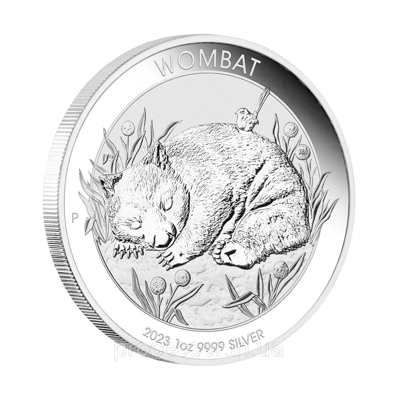 Срібна колекційна монета «Вомбат» Австралія Wombat 2023 року 1 унція
