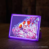 Пластик Bambu Lab PETG Translucent Teal (32501), Reusable Spool, 1.75мм, 1кг, 330м, 230-260°C, Бірюзовий філамент для 3Д-друку, фото 5