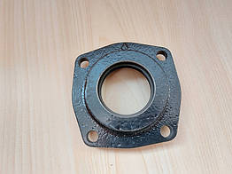 Сальник напівосі лівий Fiat Ducato 244, Peugeot Boxer, Citroen Jumper (02-06) 2.2/2.3/2.8, 300924, 9638559580