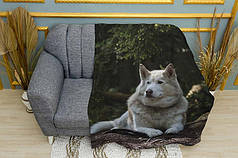 Плед «Біла та горда хаскі. White and proud husky»