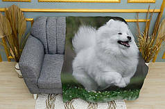 Плед «Білий шпіц у полі. White Spitz in the field»