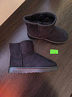 СКІДКА 39 р Уги замшеві короткі екозамша жіночі чорні з рудою лейбл UGG унісекс