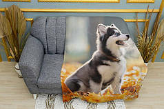 Плед «Маленька хаскі. Золоті листя. Little husky. Golden leaves»