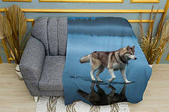 Плед «Хаскі. Прогулянка по воді. Husky. A walk on the water»