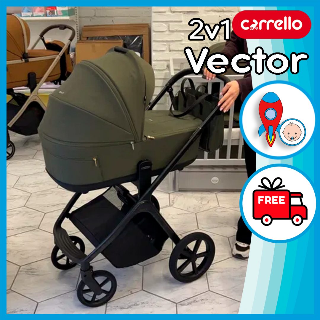 Універсальна коляска 2 в 1 Carrello Vector CRL-6551