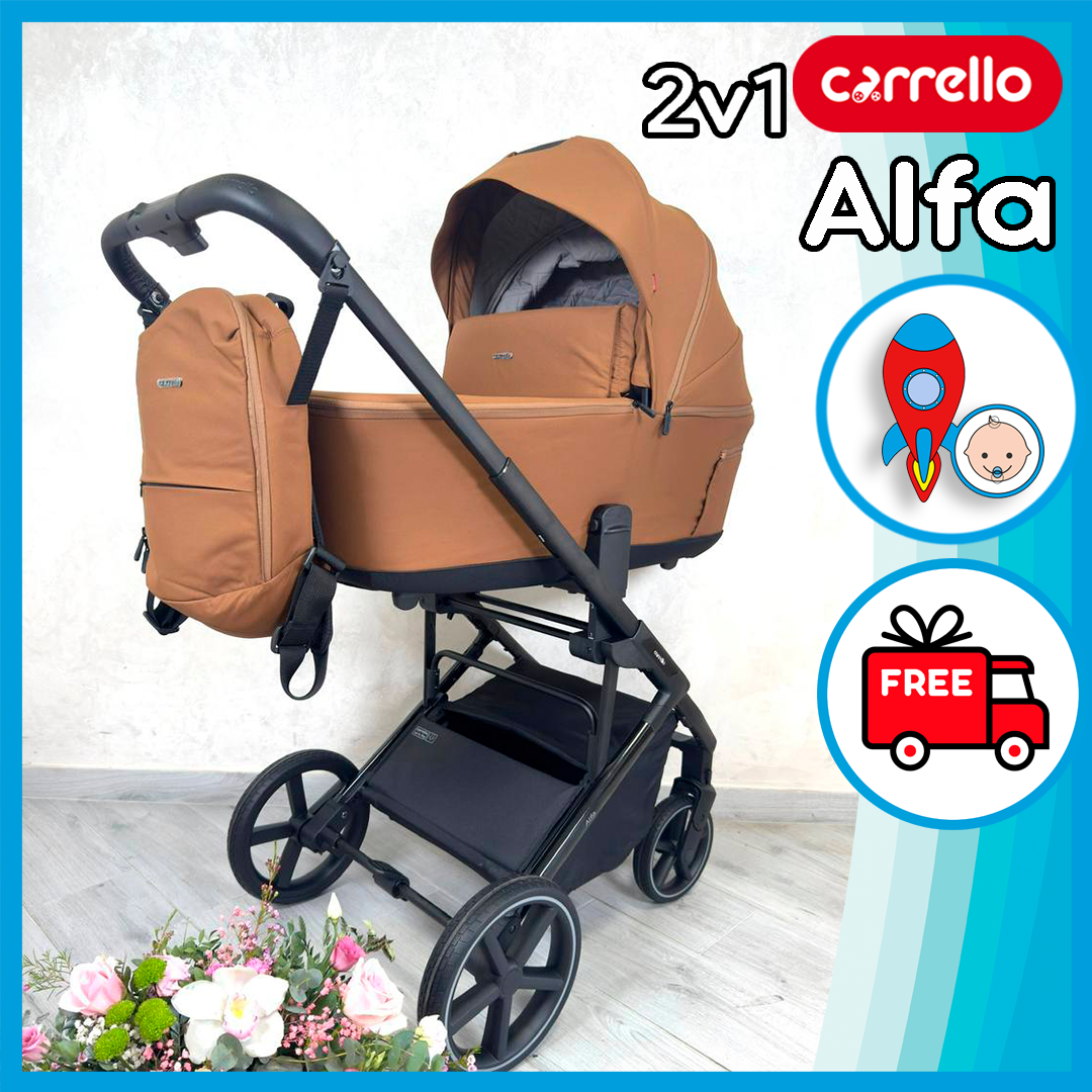 Універсальна коляска 2 в 1 Carrello Alfa CRL-6522