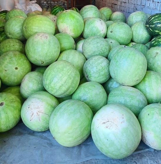 Насіння кавуна Чумак, 85–95 днів, фасовка 100 г, фото 1