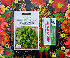 Насіння коріандру (кінзи) Марино (Enza Zaden), 1 грам — середньостиглий сорт (40-45 днів), всесезонний