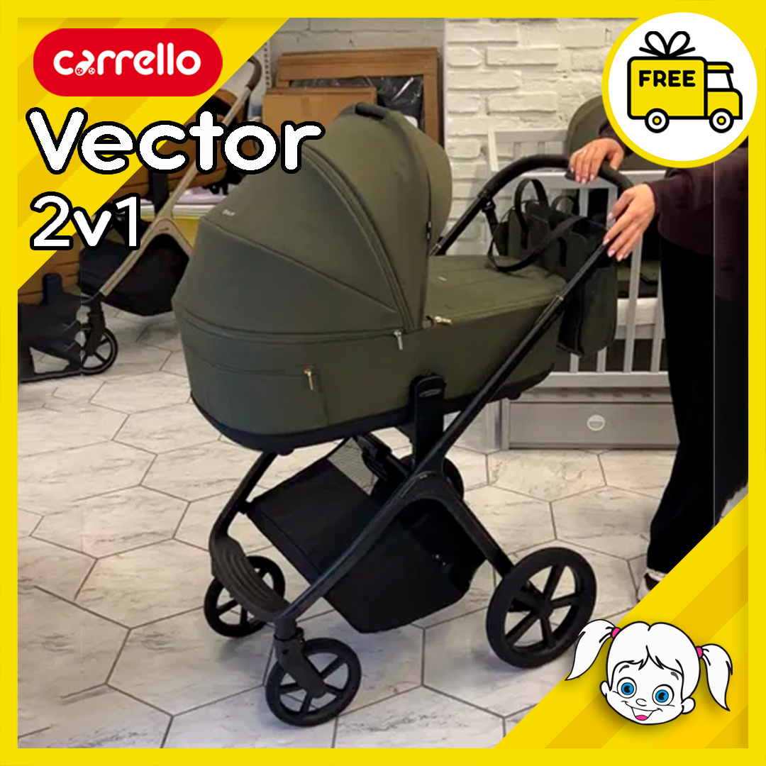Універсальна коляска 2 в 1 Carrello Vector CRL-6551