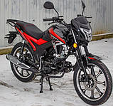 Альфа-спорт SP125C-2AR | Безкоштовна доставка. У заводській упаковці., фото 3