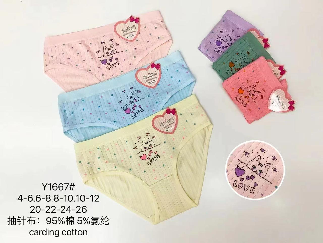 Труси дитячі бавовняні розмір 4-6, 6-8, 8-10, 10-12 років (від 12 шт.)