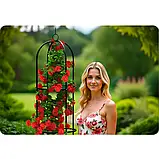 Садова колона опора для троянд квітів металева Пергола 200 см + 4 анкера Plonos 499201 Польща, фото 7