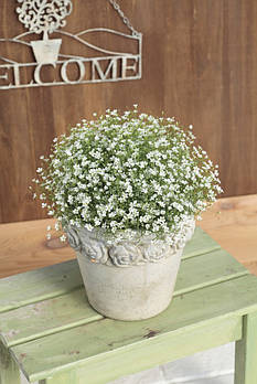 Gypsy compact White\Pink