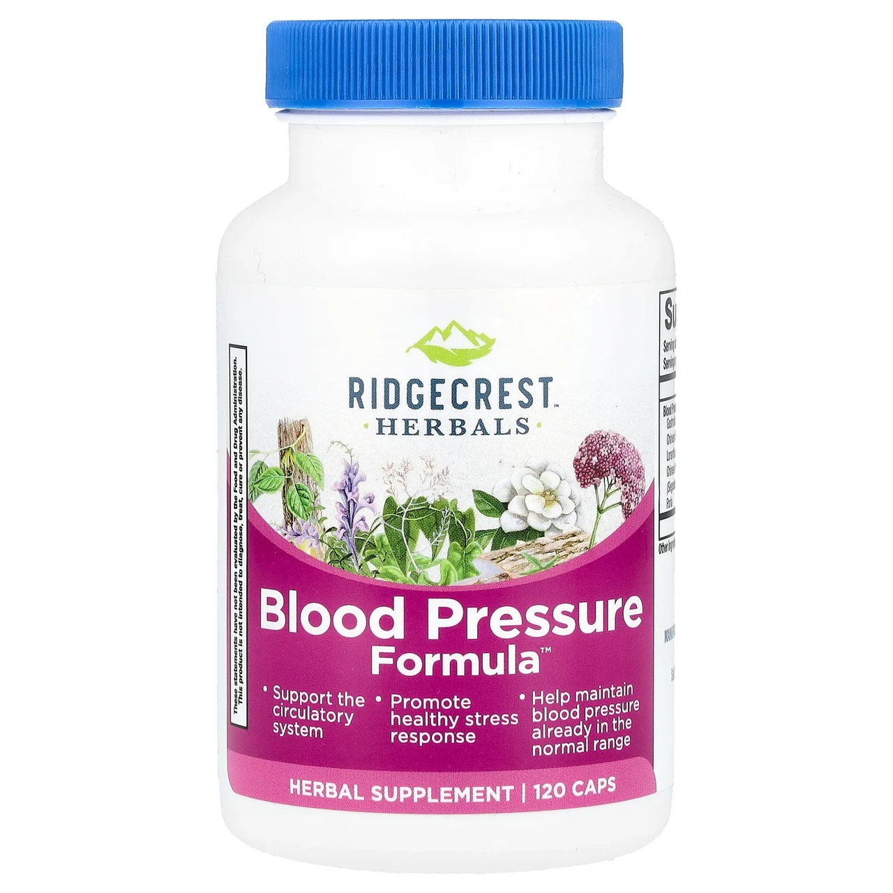 RidgeCrest Herbals, Blood Pressure Formula, 120 веганських капсул RDH-00549, Київ