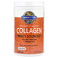Garden of Life, Колаген із дикого улову та трав'яного відгодовування, з декількох джерел, без добавок, 270 г