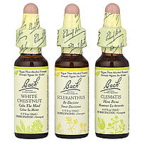 Bach, Original Flower Remedies, набір для фокусування, ясність розуму, 3 піпетки, 10 мл (0,35 рідк. унці.)