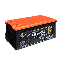 Акумулятор LP LiFePO4 25,6V - 230 Ah (5888Wh) (BMS 200A/100А) пластик Smart BT, фото 5