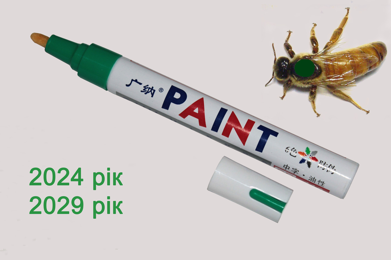 Маркер ЗЕЛЕНИЙ для мітки маток 2024, 2029 рік, фото 1