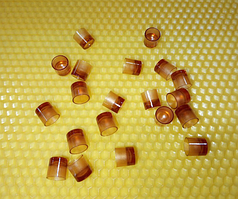 Мисочки Nikot Франція 1000 штук (Безкоштовна доставка)