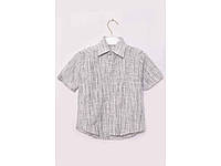 Рубашка детская мальчик серая R148610 р.28 ТМ ZOOR