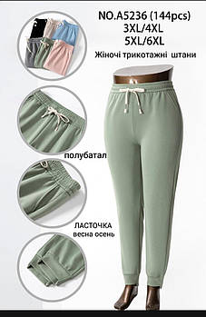 Джогери жіночі бавовна Ластівка, розмір 3XL-6XL, асорті, А5236