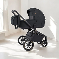 Коляска універсальна CARRELLO Epica/G CRL-8510/1 (2in1) Space Black